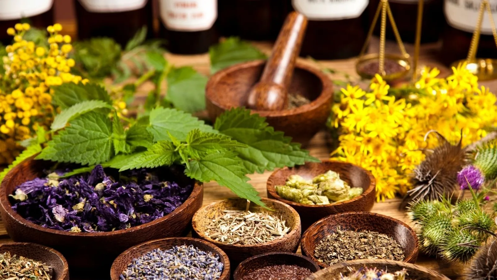 Functional Medicine Supplements