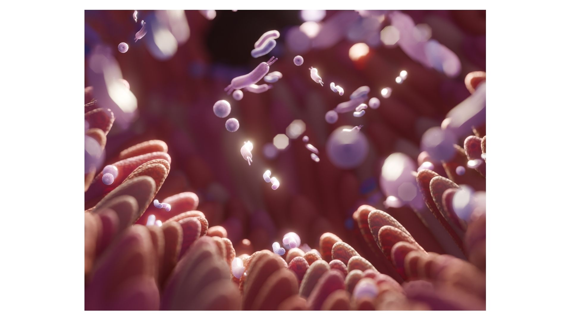 Gut Health and Hormones: The Missing Piece When Hormone Therapy Stops Working